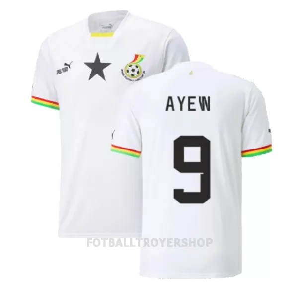 Ghana Ayew 9 Hjemmedrakt Herre Jordan VM 2022